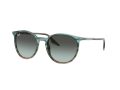 Ray-Ban Solbriller RB 0RB2204 1394GK