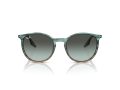 Ray-Ban Solbriller RB 0RB2204 1394GK