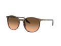 Ray-Ban Solbriller RB 0RB2204 13953B