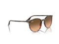 Ray-Ban Solbriller RB 0RB2204 13953B