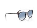 Ray-Ban Solbriller RB 2204 14303F