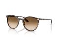 Ray-Ban Solbriller RB 2204 143151