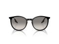 Ray-Ban Solbriller RB 0RB2204 901/32