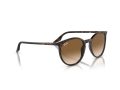 Ray-Ban Solbriller RB 0RB2204 902/51