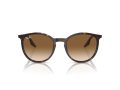 Ray-Ban Solbriller RB 0RB2204 902/51