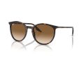 Ray-Ban Solbriller RB 0RB2204 902/51