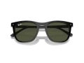 Ray-Ban Solbriller RB 2210 901/31