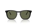 Ray-Ban Solbriller RB 2210 901/58