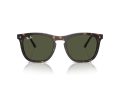 Ray-Ban Solbriller RB 2210 902/31