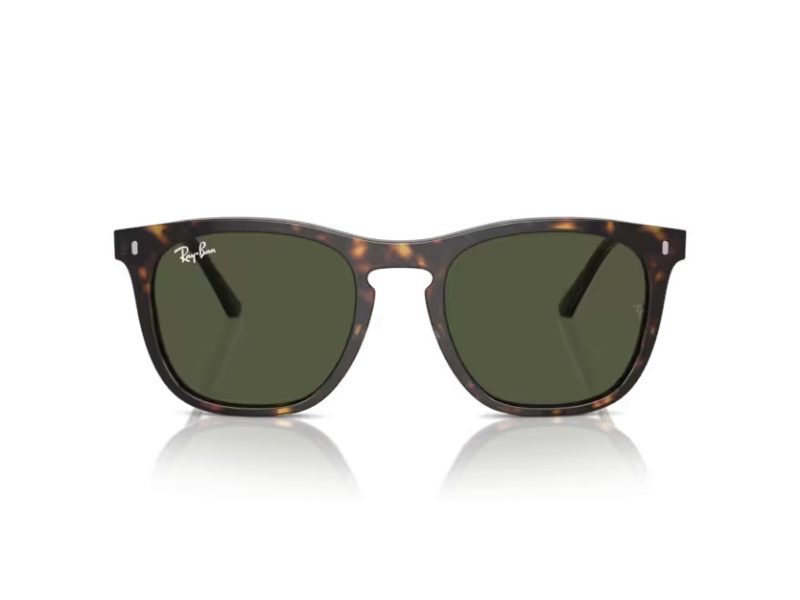Ray-Ban Solbriller RB 2210 902/31