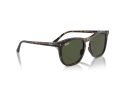 Ray-Ban Solbriller RB 2210 902/31