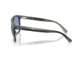 Ray-Ban Solbriller RB 2213 14243F