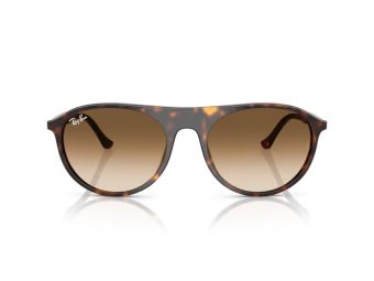 Ray-Ban Solbriller RB 2215 902/51