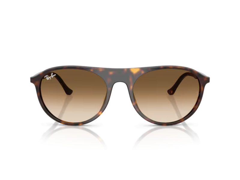 Ray-Ban Solbriller RB 2215 902/51