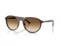 Ray-Ban Solbriller RB 2215 902/51