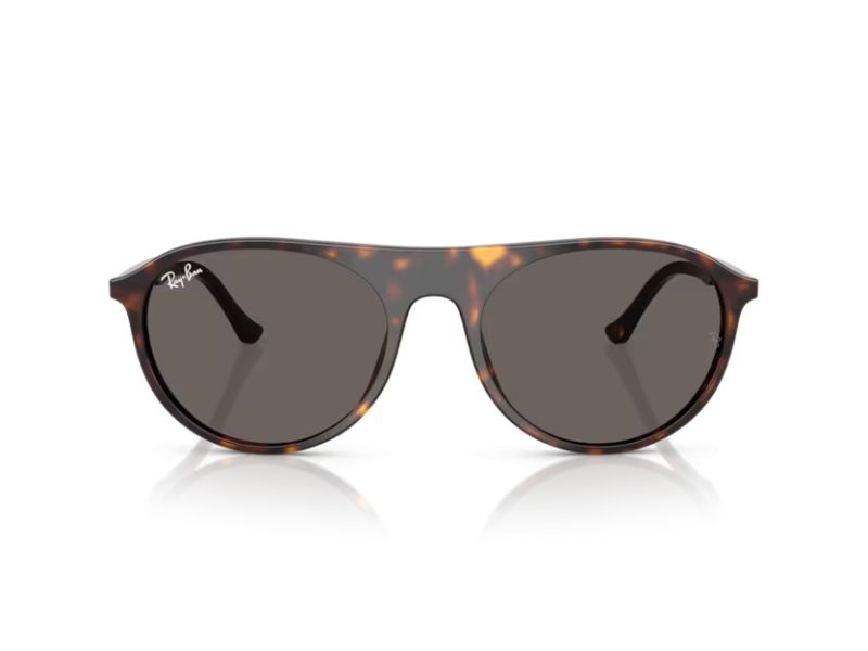 Ray-Ban Solbriller RB 2215 902/B1