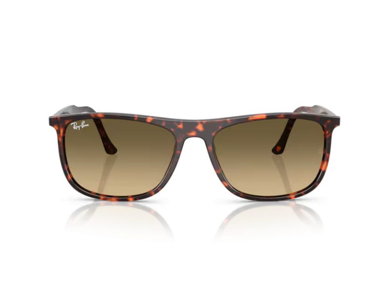 Ray-Ban Solbriller RB 2216 14290A