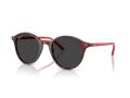 Ray-Ban Bernard Solbriller RB 2230 141948