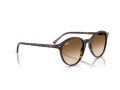 Ray-Ban Bernard Solbriller RB 2230 902/51