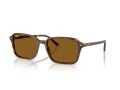 Ray-Ban Raimond Solbriller RB 2231 141833