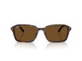Ray-Ban Raimond Solbriller RB 2231 902/57