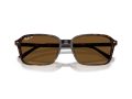Ray-Ban Raimond Solbriller RB 2231 902/57