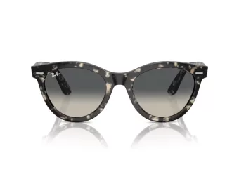 Ray-Ban Wayfarer Way Solbriller RB 2241 133371