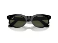 Ray-Ban Wayfarer Oval Solbriller RB 2242 901/31