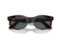 Ray-Ban Wayfarer Oval Solbriller RB 2242 902/R5