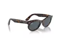 Ray-Ban Wayfarer Oval Solbriller RB 2242 902/R5