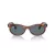 Ray-Ban Wayfarer Oval Solbriller RB 2242 954/3R