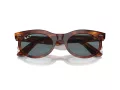 Ray-Ban Wayfarer Oval Solbriller RB 2242 954/3R