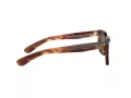 Ray-Ban Caribbean Solbriller RB 2248 954/31
