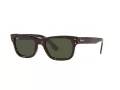 Ray-Ban Mr Burbank Solbriller RB 2283 902/31