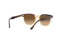 Ray-Ban Hawkeye Solbriller RB 2298 1292M2