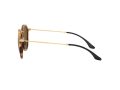 Ray-Ban Round Solbriller RB 2447 1160