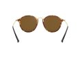Ray-Ban Round Solbriller RB 2447 1160