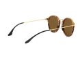 Ray-Ban Round Solbriller RB 2447 1160