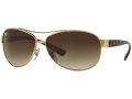 Ray-Ban Solbriller RB 3386 00113