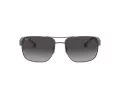 Ray-Ban Solbriller 3530 004/8G