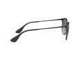 Ray-Ban Erika Metal Solbriller RB 3539 002/8G