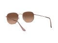 Ray-Ban Hexagonal Solbriller RB 3548N 9069/A5