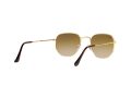 Ray-Ban Hexagonal Solbriller RB 3548 001/51