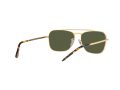 Ray-Ban New Caravan Solbriller RB 3636 9196/31