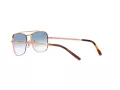 Ray-Ban New Caravan Solbriller 3636 92023F