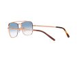 Ray-Ban New Caravan Solbriller RB 3636 9202/3F