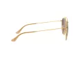 Ray-Ban Solbriller RB 3647N 9124/43