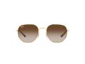 Ray-Ban Solbriller RB 3682 001/13