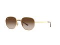 Ray-Ban Solbriller RB 3682 001/13