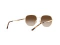 Ray-Ban Solbriller RB 3682 001/13